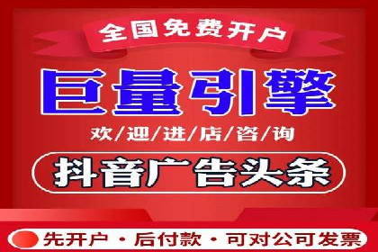 抖音信息流代理在电商行业的应用案例分析